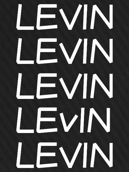 Jungeselle Levin
