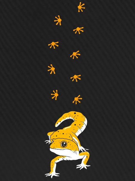 Leopard Gecko