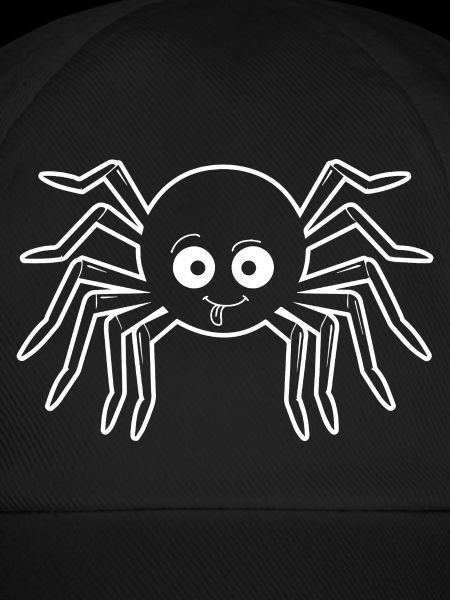 Spinne Spinnen Tiere
