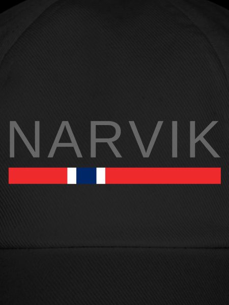Narvik Norwegen