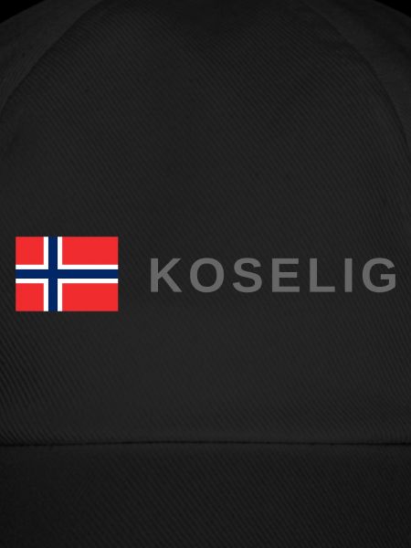 Gemütliches Norwegen