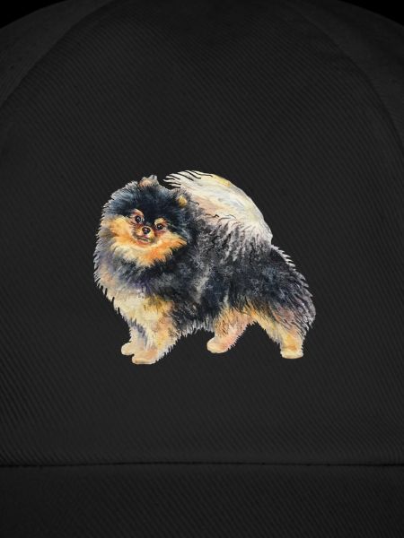 Pomeranian