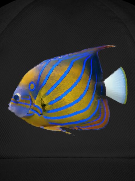 fish tropical