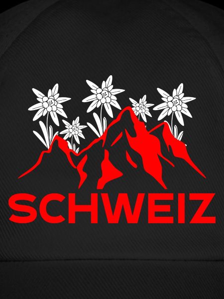 Schweizer Berge