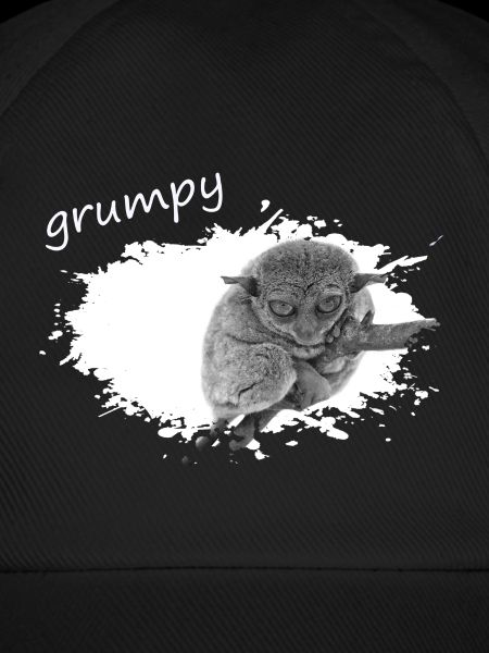 grumpy monkey Tarsier Maki