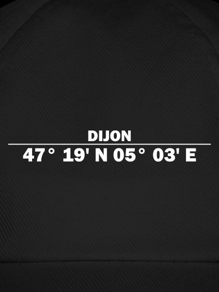 Dijon Koordinaten