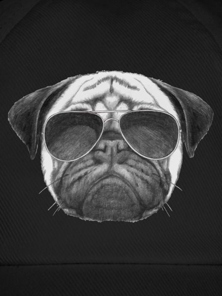 mops pug
