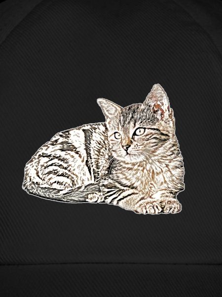 Süsse katze