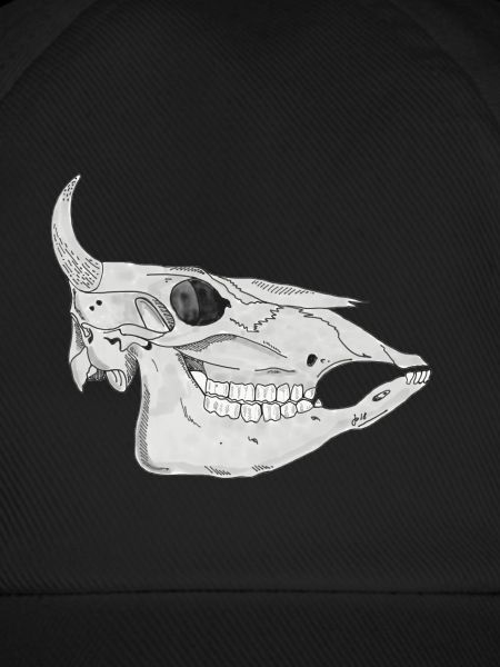Cattleskull