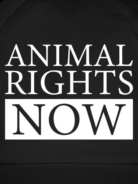 ANIMAL RIGHTS NOW