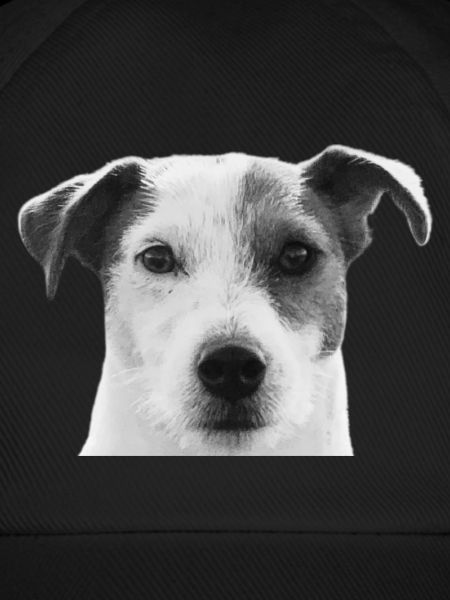 Jack Russel