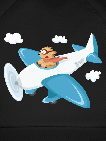 Boo und Flugzeug oo-Serie