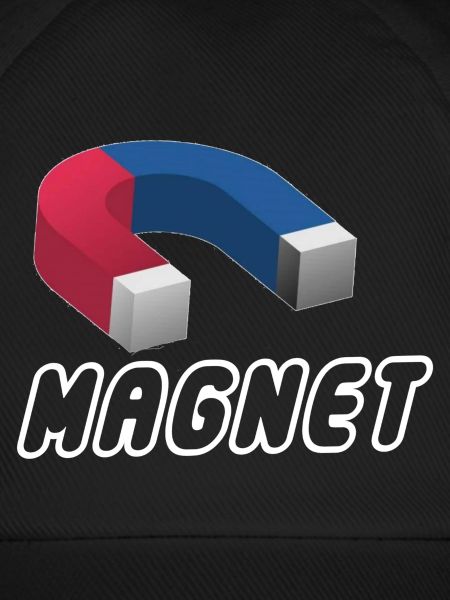 Magnet