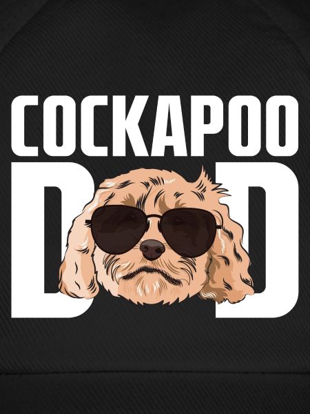 Cockapoo Hund