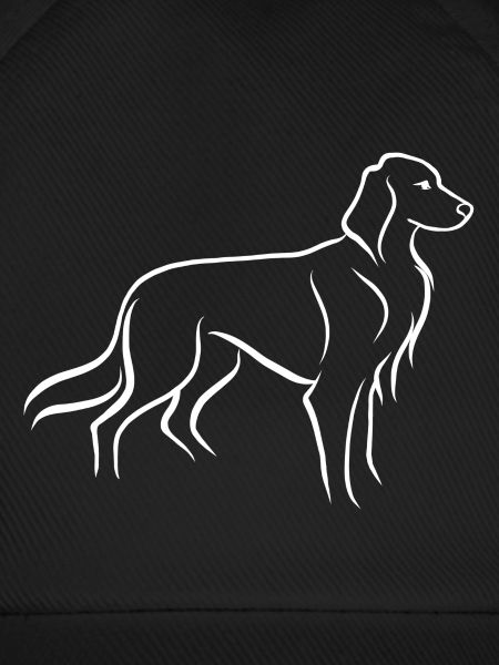 Setter stehend