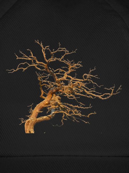 Baum