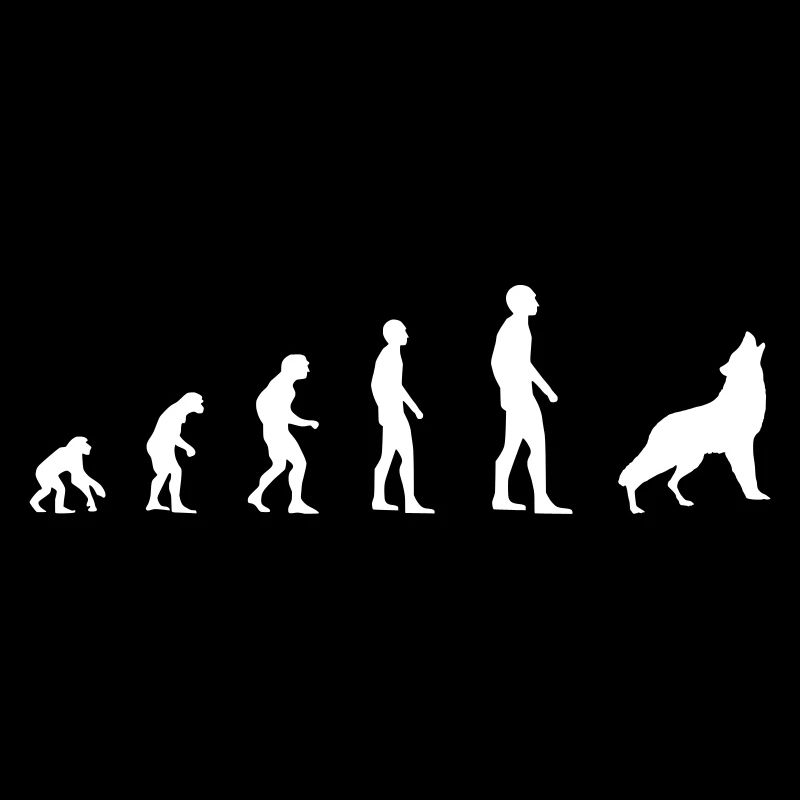 Loup - Evolution
