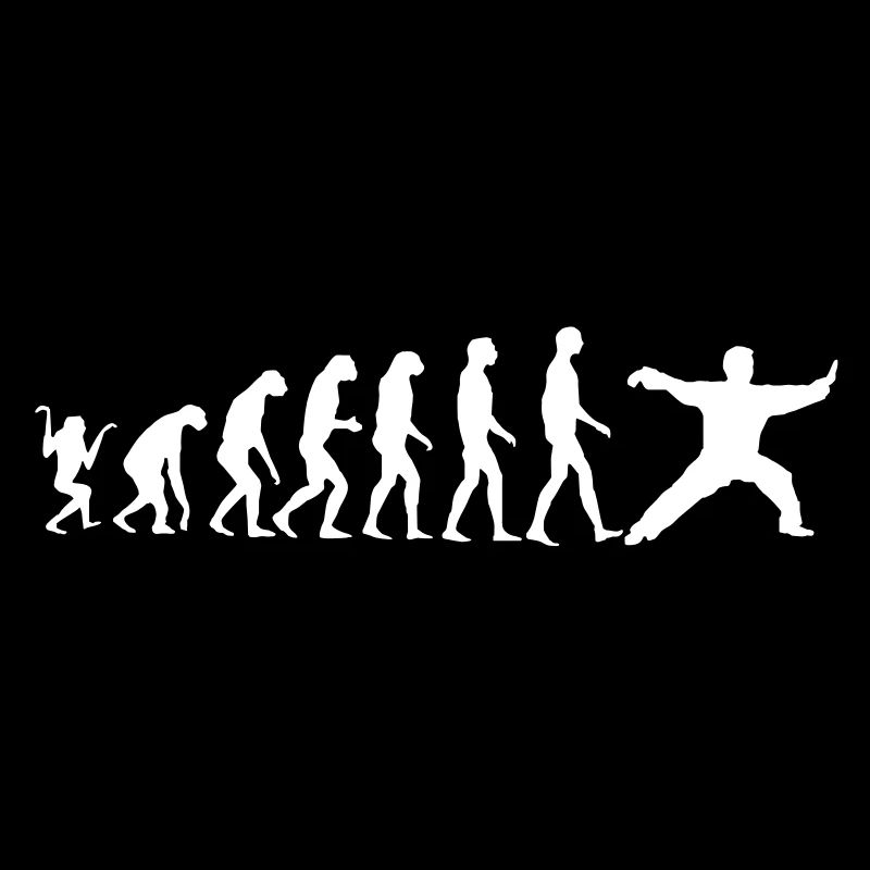 Taijiquan Chen Style Evolution