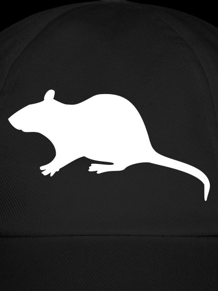 Rat