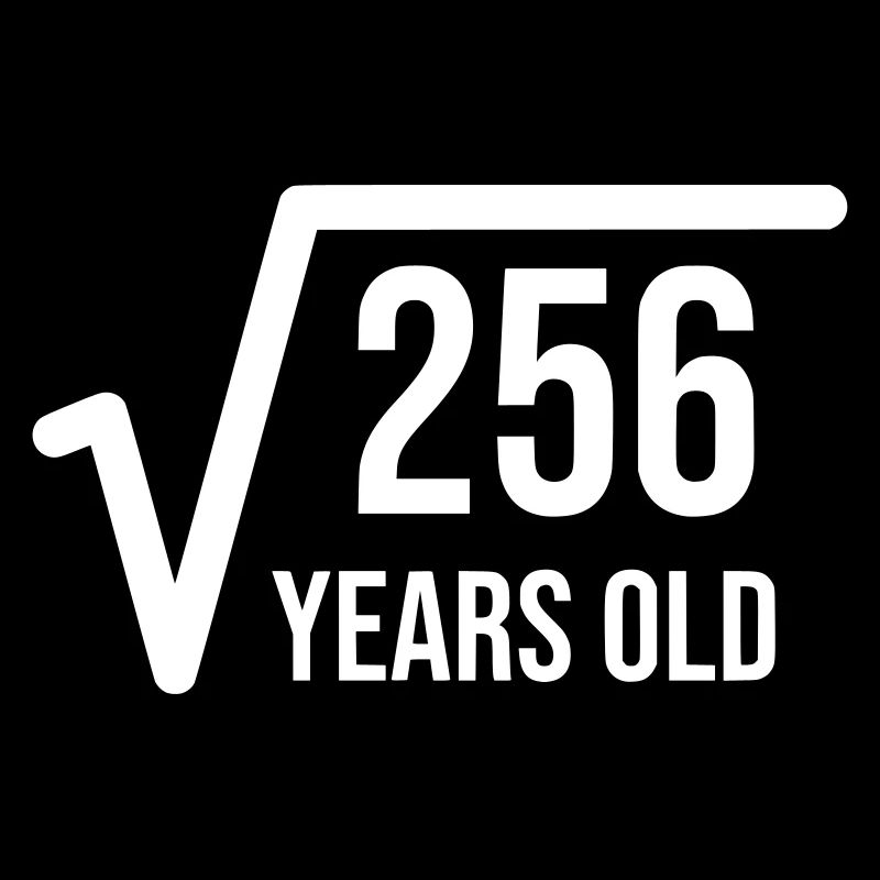 Racine de 256 est 16 ans
