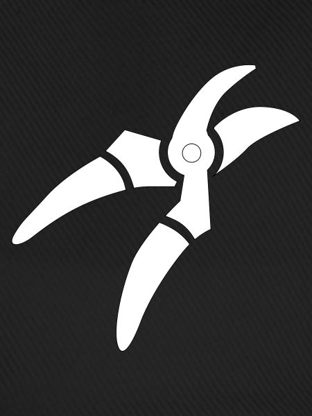 scissors