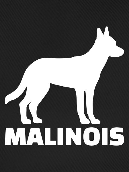 malinois