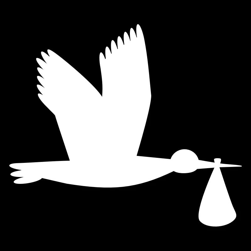 Storch