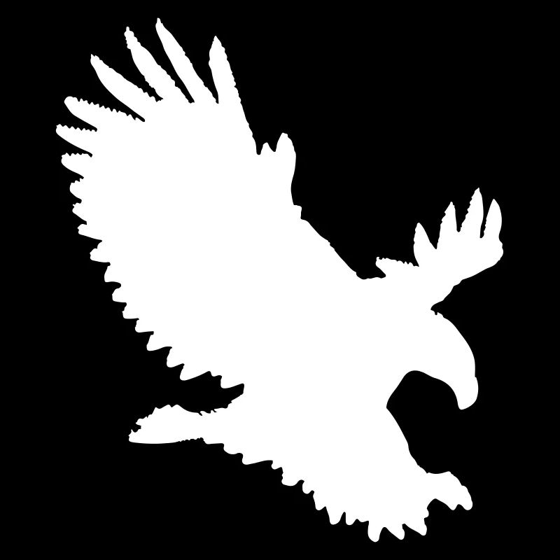 Adler im Anflug