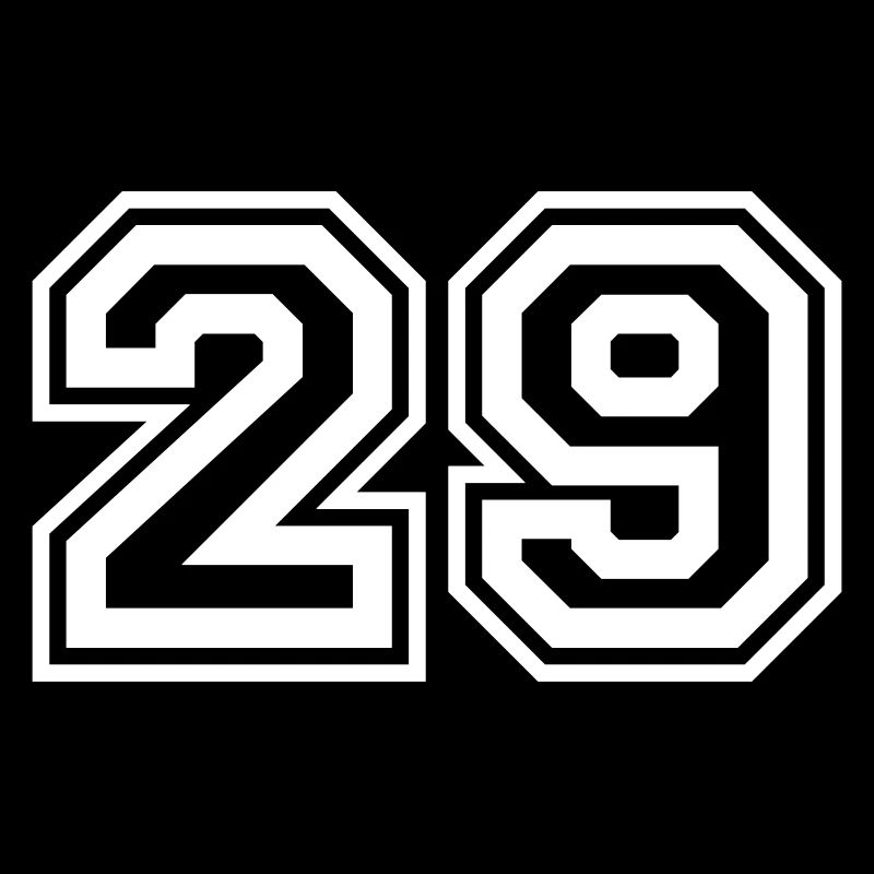 29 Numéro de numéro