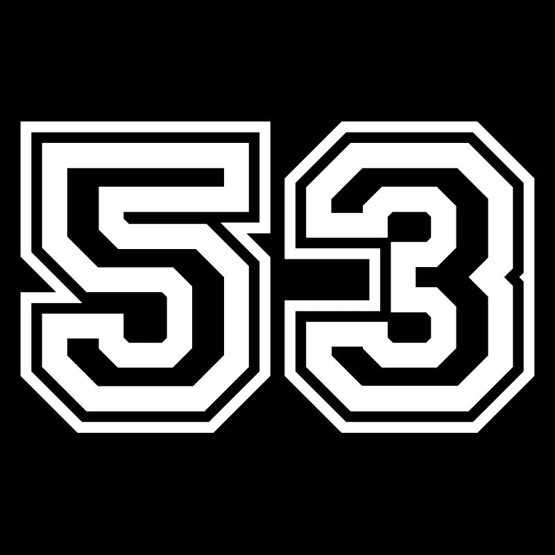 53 Number number