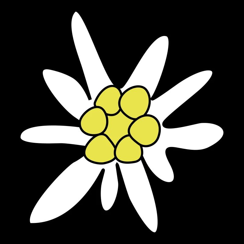 Edelweiss