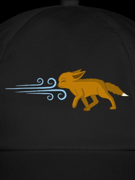 Der Fuchs und der Wind