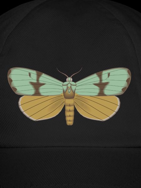 Butterfly 115