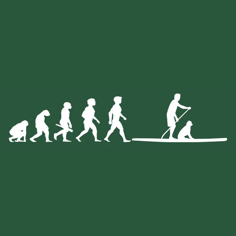Evolution Stand Up Pagaie Paddle Stand Up Paddle SUP
