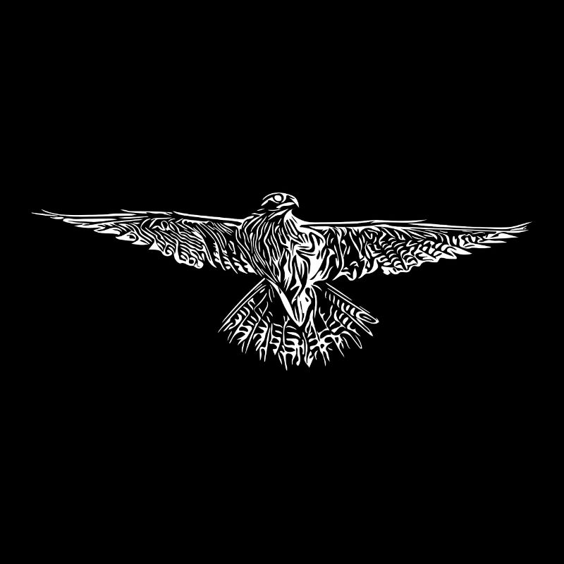 Hawk in flight