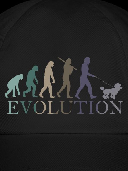 EVOLUTION PUDEL