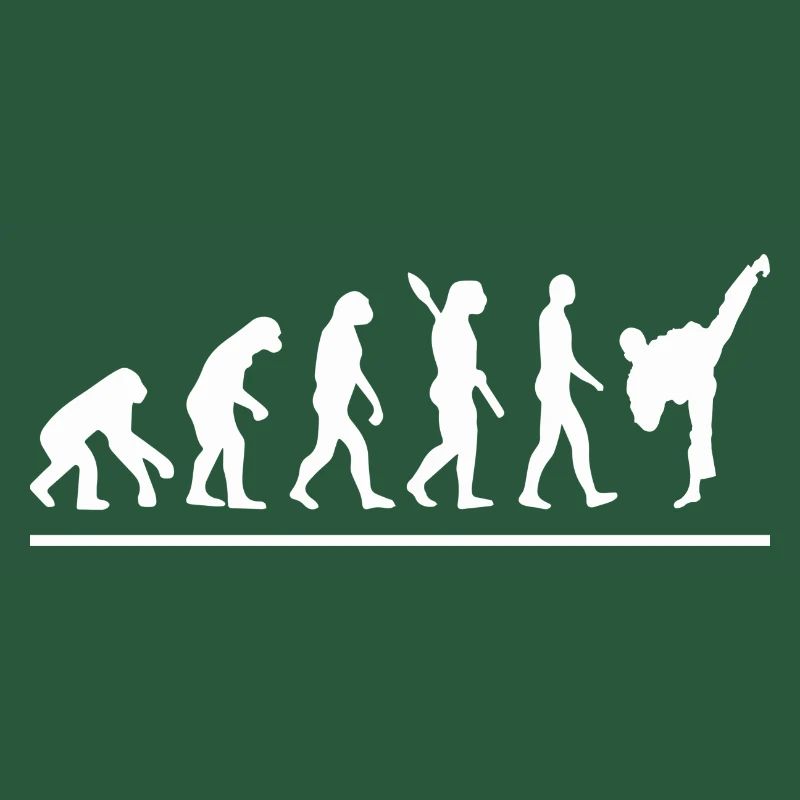 Évolution karaté
