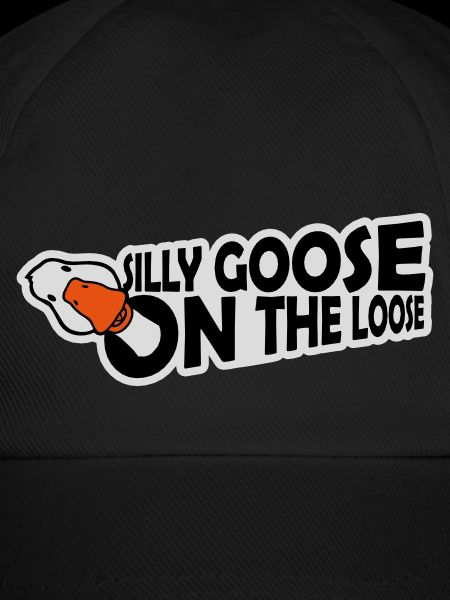 goose on the loose