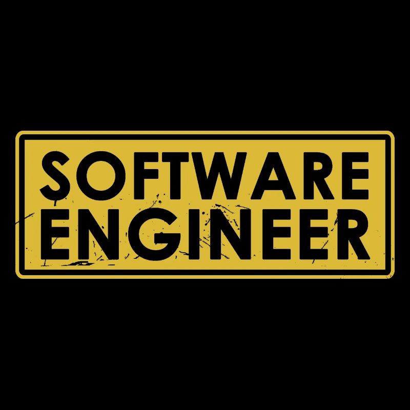 Software-Ingenieur