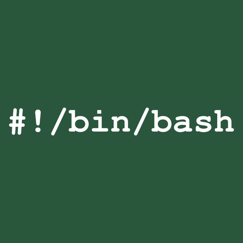 Bash / Bourne-Again Shell in Linux and Unix
