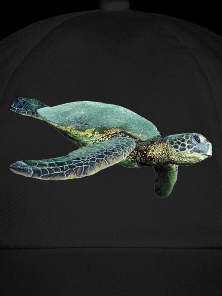 turtle schildkroete tiere animals6