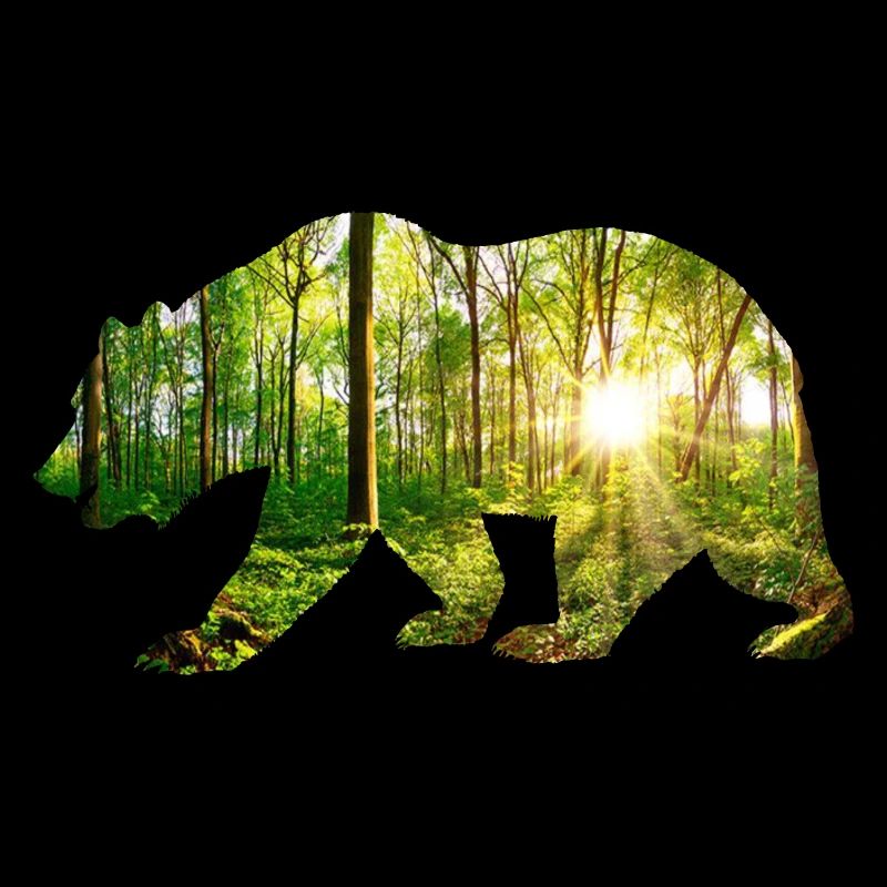 Bear environment