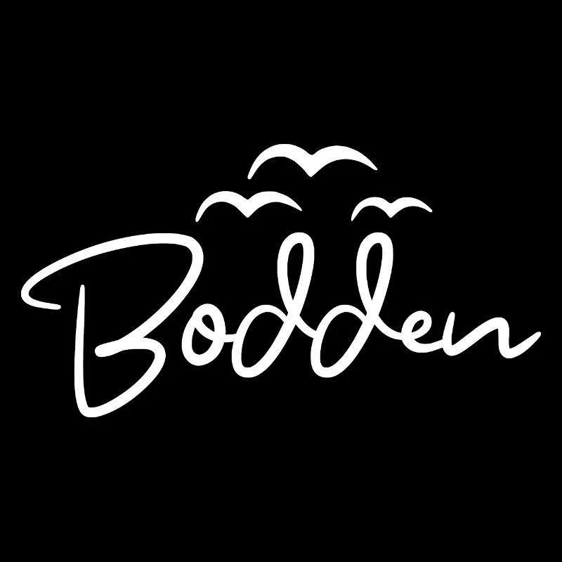 Bodden Ostseeküste Möwen