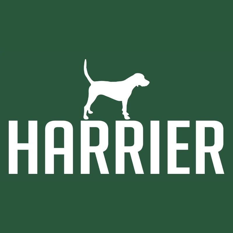 HARRIER Hunderasse Hunde Jagdhunde Wilsigns