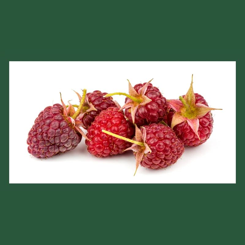 Himbeere. raspberry