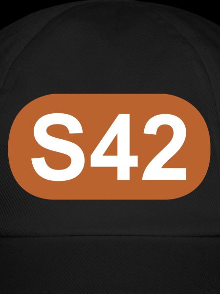 S-Bahn Berlin S42