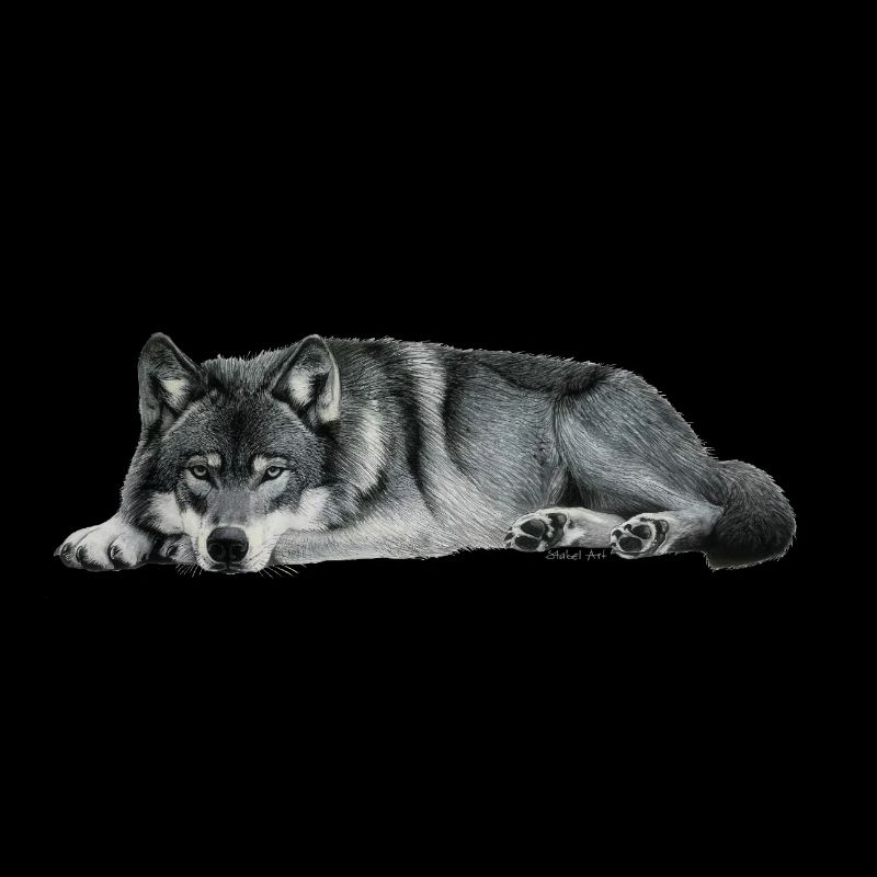 wolf