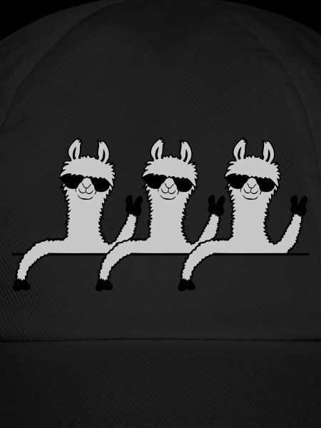 Équipe Comic Lamas