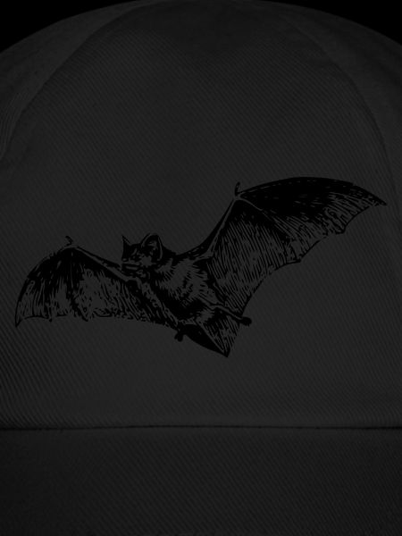 Chauve-souris