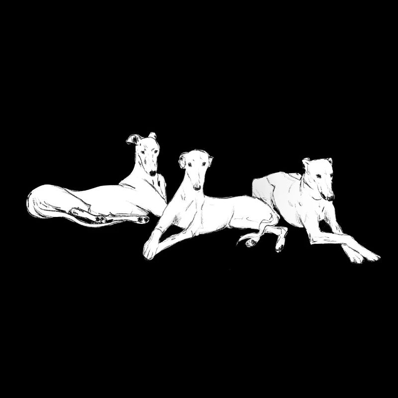 Drei Windhunde